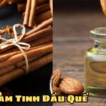 Cách Làm Tinh Dầu Quế