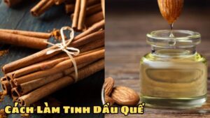 Quy Trình Cách Làm Tinh Dầu Quế Tại Nhà