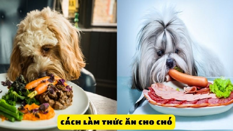 cách làm thức ăn cho chó