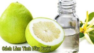 Hướng Dẫn Cách Làm Tinh Dầu Bưởi Từ A-Z