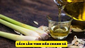 Cách Làm Tinh Dầu Chanh Sả Hiệu Qủa Tại Nhà